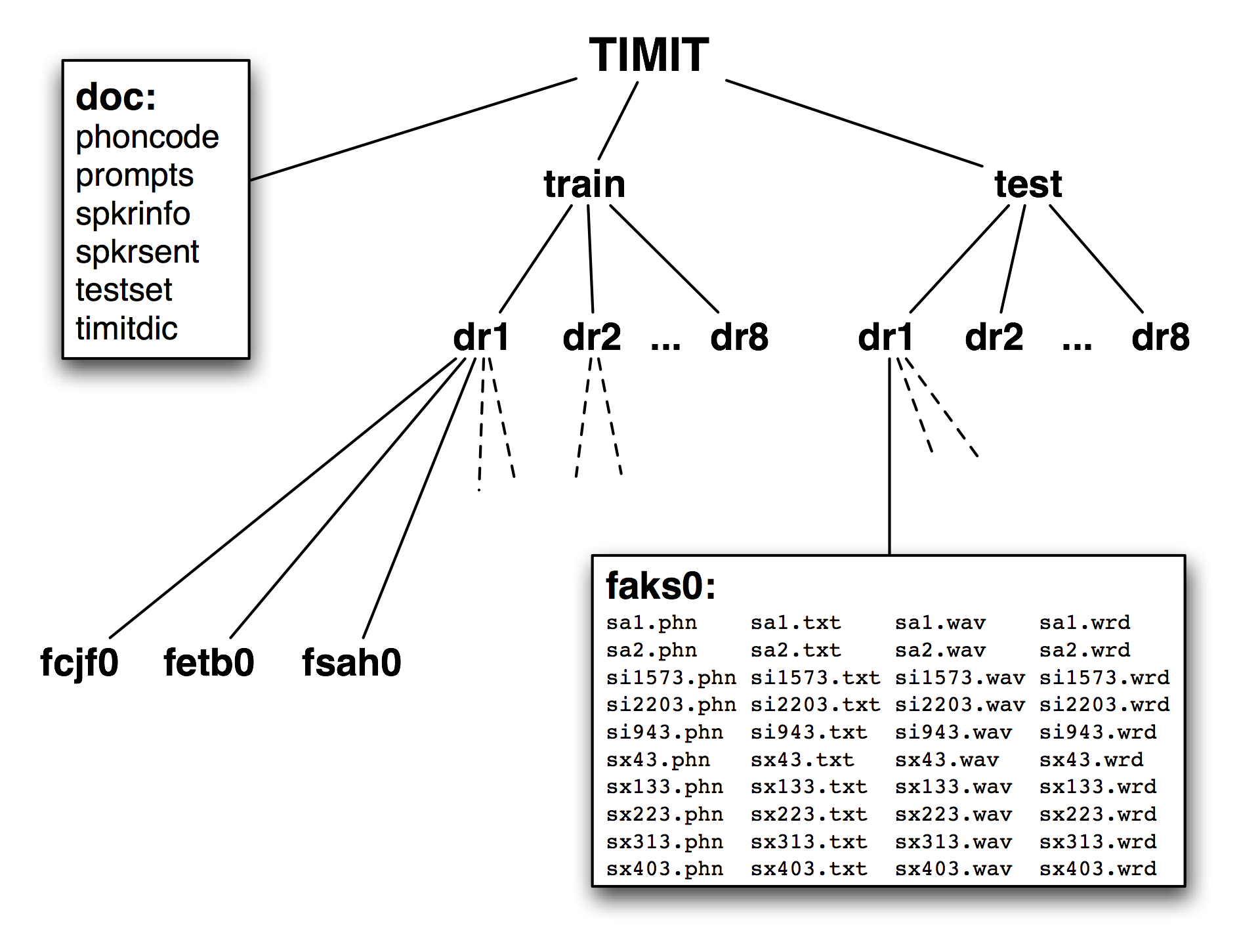 ../images/timit-structure.png