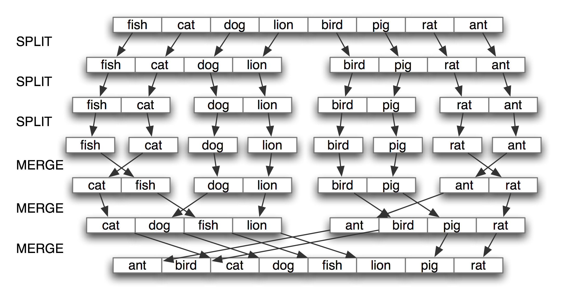 Python nltk synonyms and antonyms